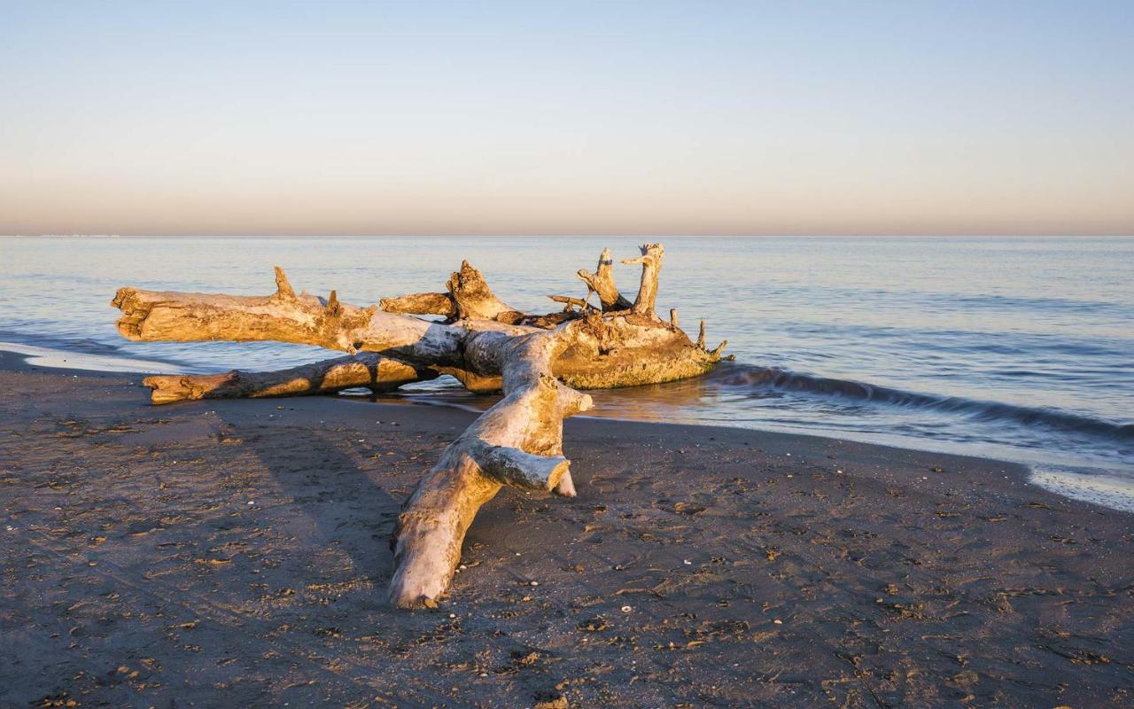 Camping Horizon Bar Фронтинян Екстериор снимка